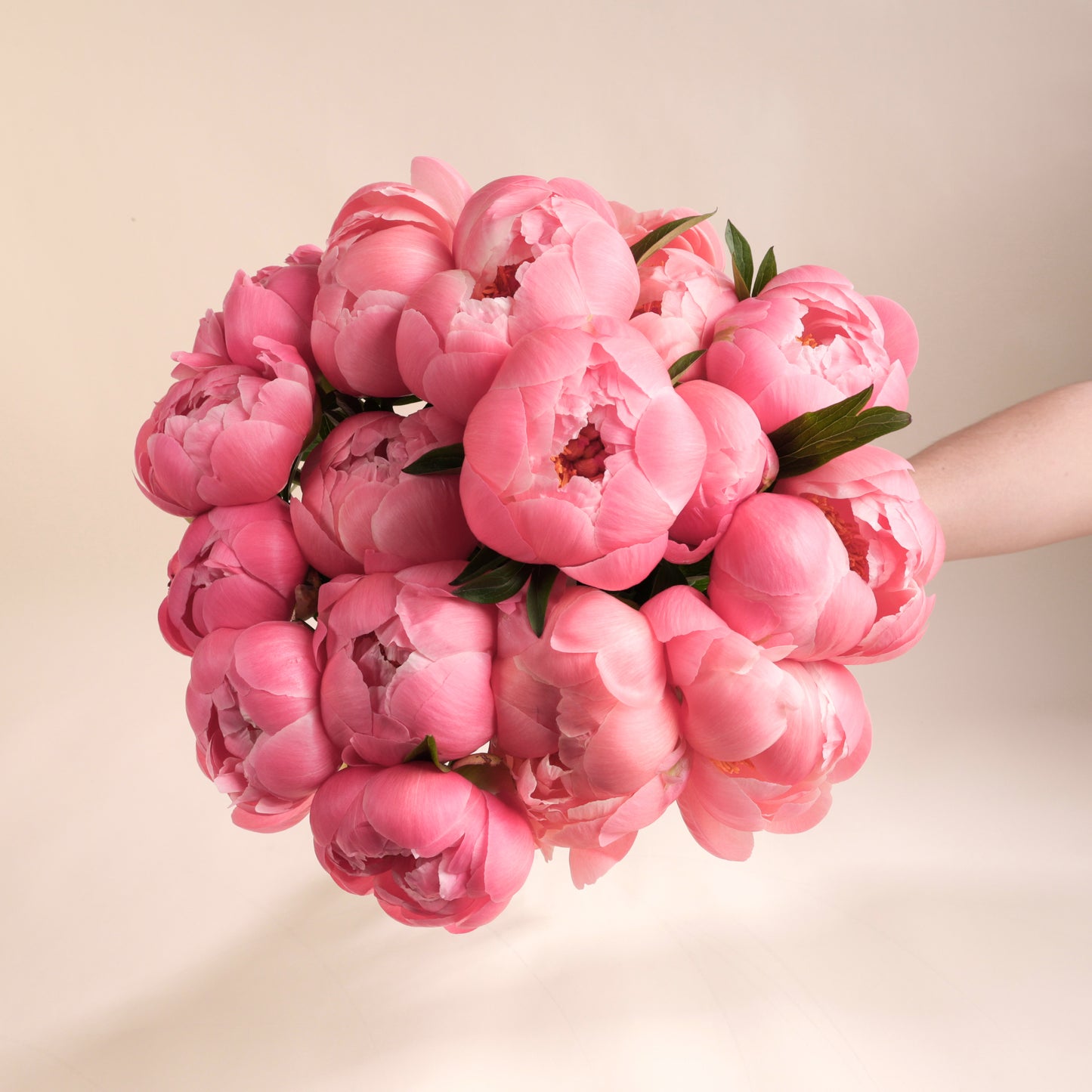 Bouquet de pivoines fraîches avec vase Fjord beige