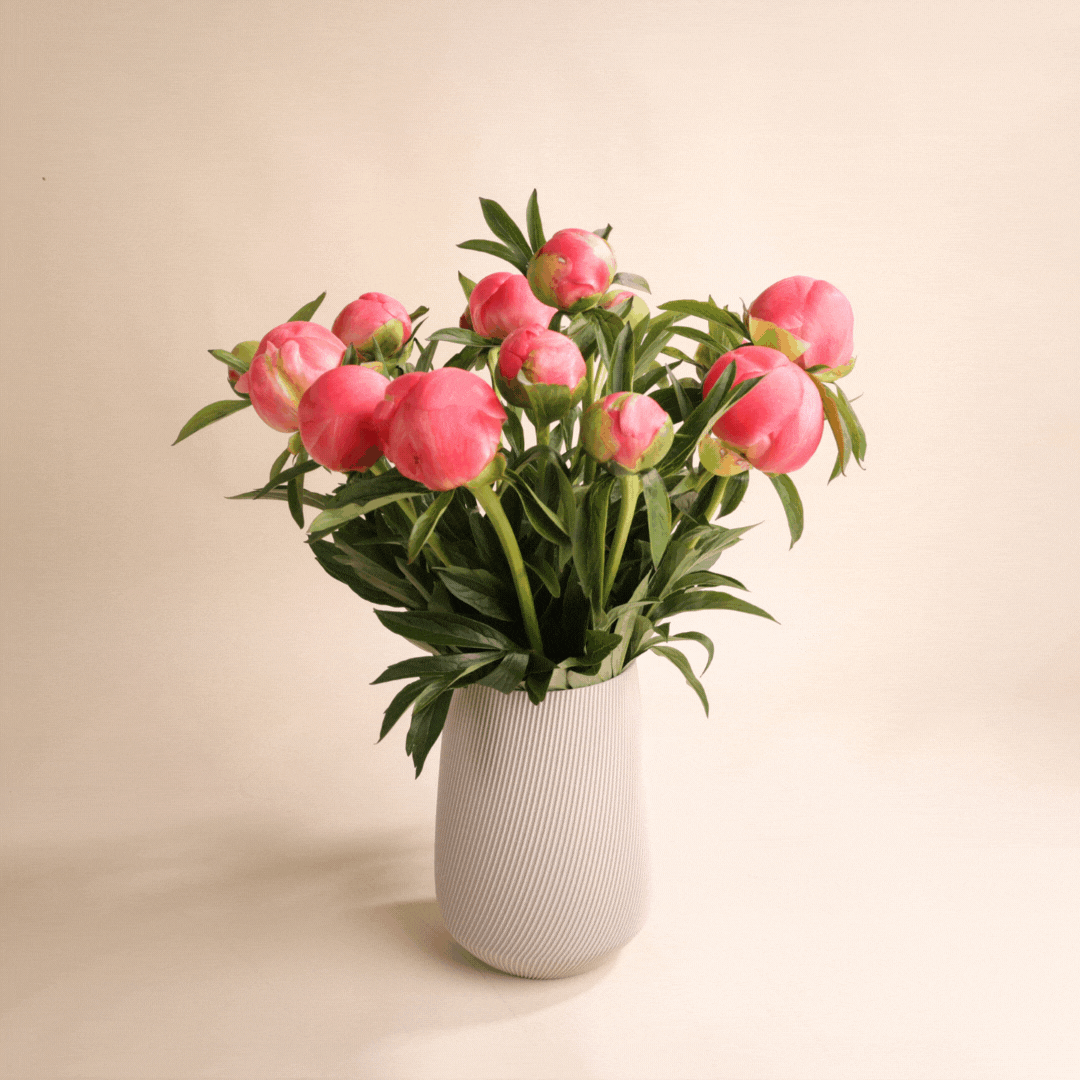 Bouquet de pivoines fraîches avec vase Fjord beige