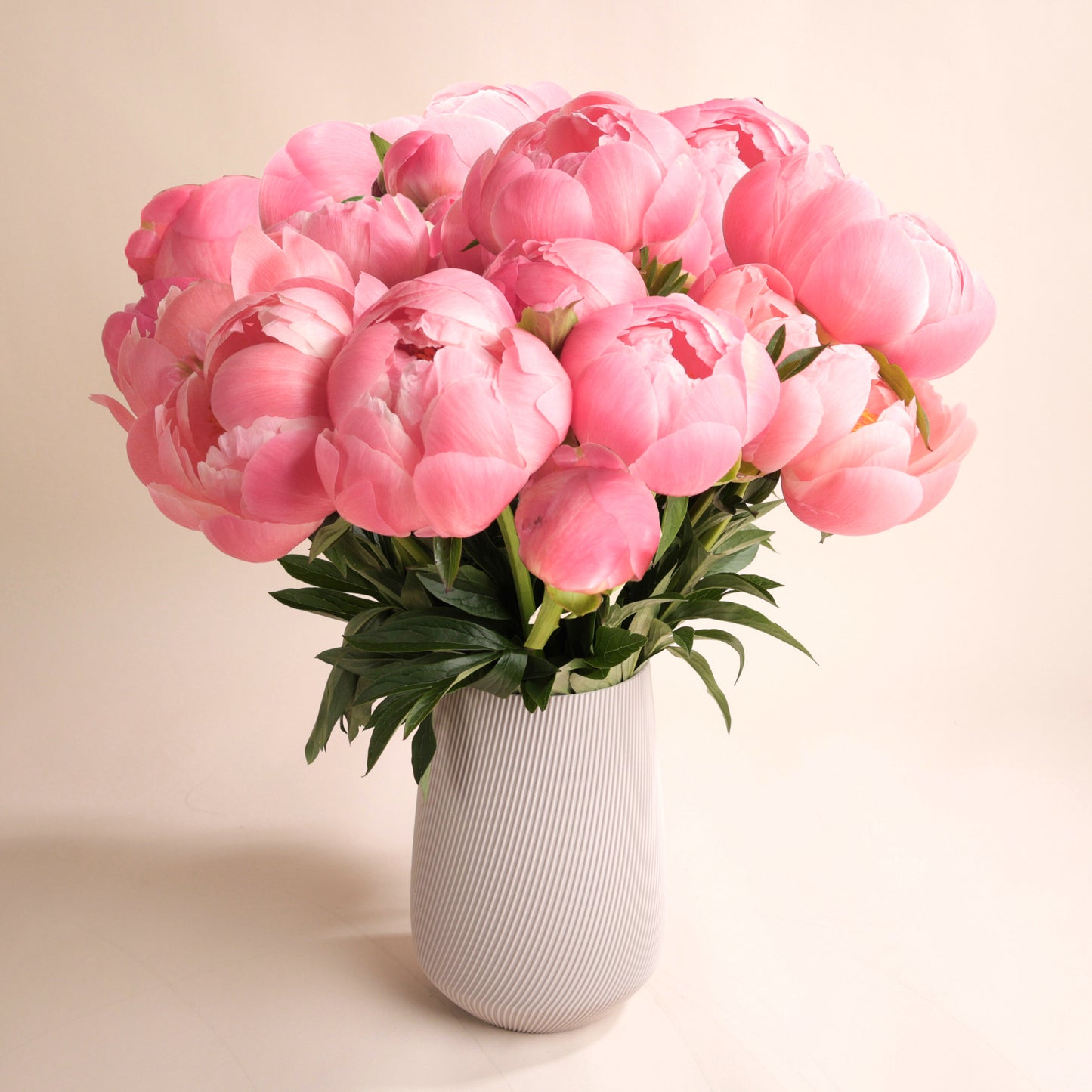 Bouquet de pivoines fraîches avec vase Fjord beige