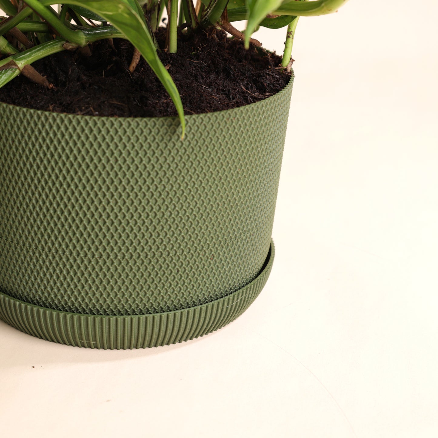 Epipremnum Global Green rempoté dans pot vert design avec coupelle – plante grimpante ou retombante