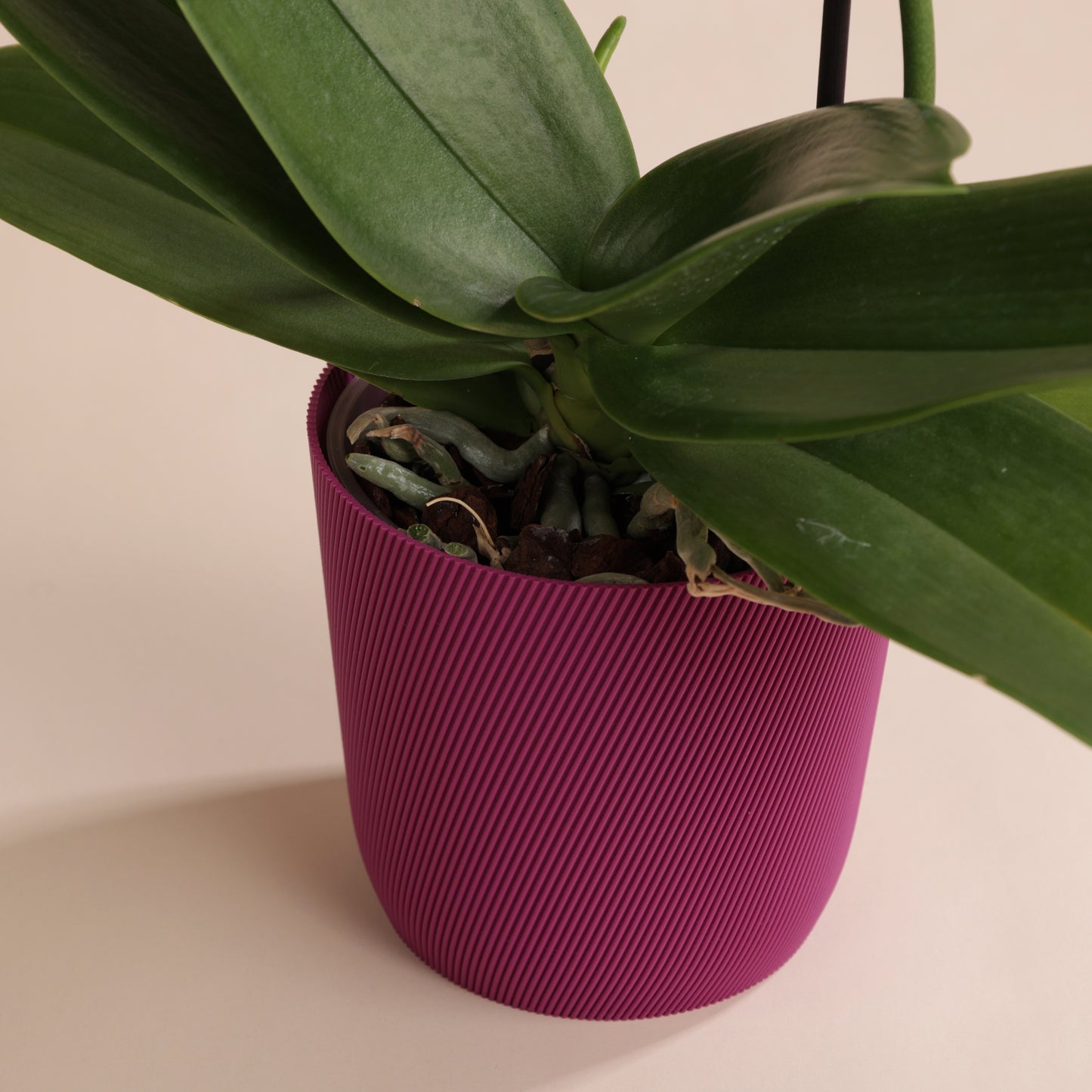 Cache-pot rose texturé pour orchidée – Svala 11 cm en bioplastique PLA