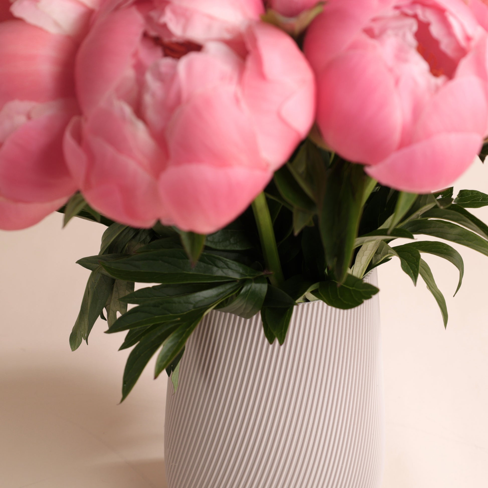 Bouquet de pivoines fraîches avec vase Fjord beige