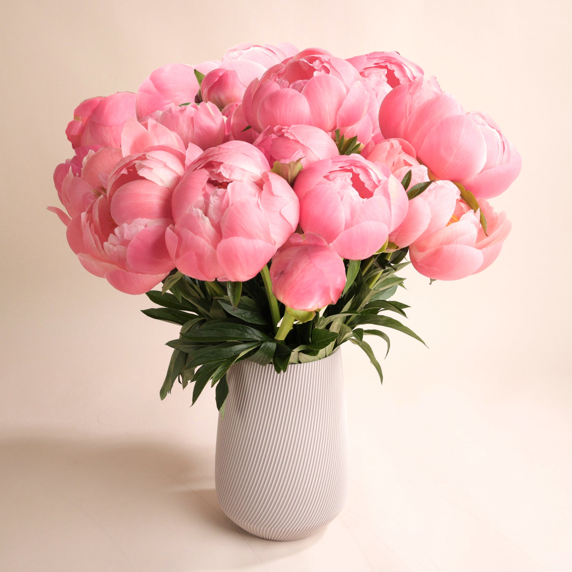 Bouquet de pivoines fraîches avec vase Fjord beige