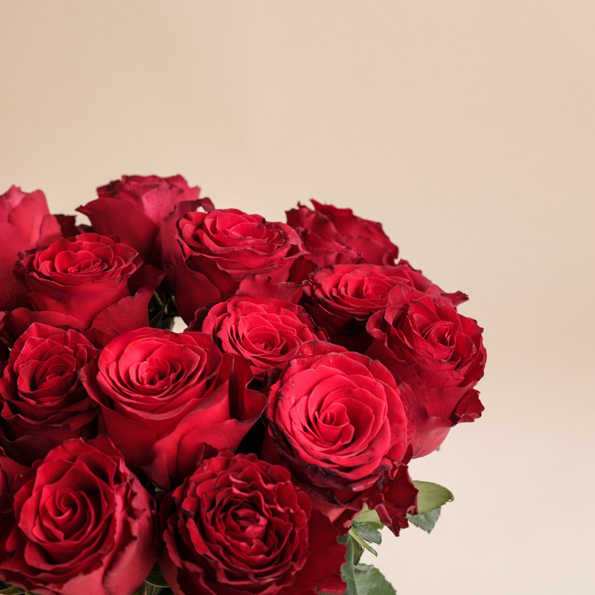 Bouquet de 20 roses rouges avec vase – Saint-Valentin